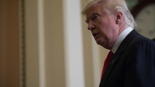 Donald Trump refutes transition turmoil
