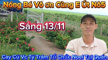 Sáng 13/11 Quang78 kể chuyện cây noel