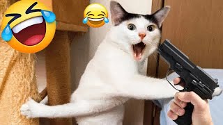 New Funny Animals 2024 🐕🐈 Funniest Dogs and Cats 😻🐶