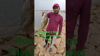 Hooked 2 Kg's Tilapia/Phamplet Fish at Madhav Reddy Dam