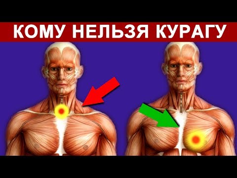 Что Будет если Есть Курагу Каждый День. Кому Вредна и Кому Полезна Курага?