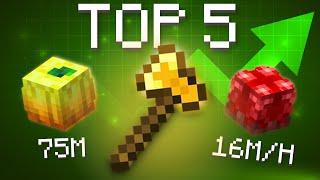 TOP 5 Money Making Methods! (Hypixel Skyblock)