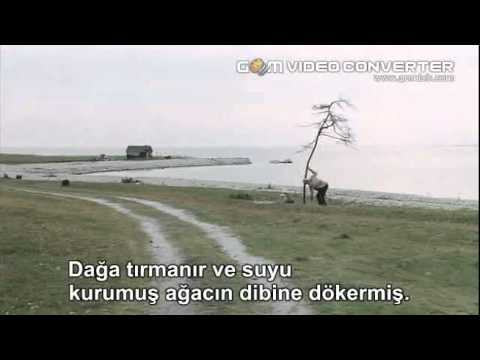 Offret - Kurban - Andrei Tarkovsky - Ağaç Dikme Sahnesi - Anektod