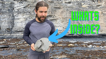 Fossil Hunter Makes A Rare Find!