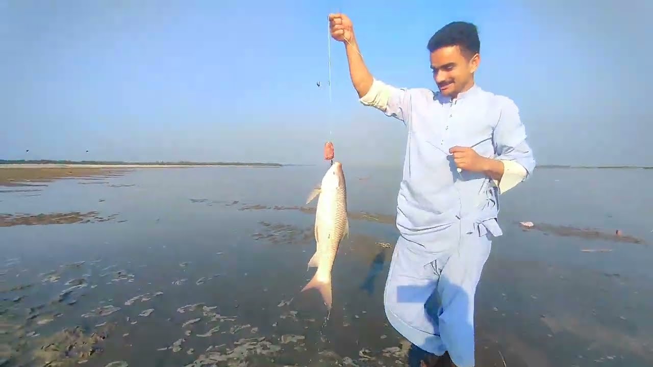 River Chanab ka zabardast shikar| 32 Rohu Fish catch in 1 night| Amazing Rohu Fishing #fishing #fish