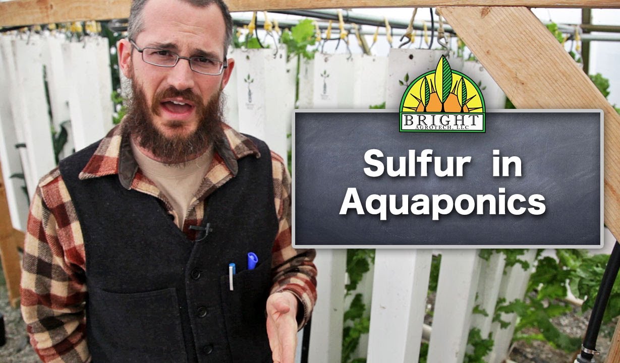 Sulfur in Aquaponics