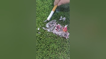 👉#doleader is #china #artificialgrass #supplier 💎 Looking for large #distributor 😊 #syntheticgrass