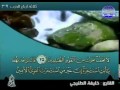 الجزء العشرون 20 من القرآن الكريم بصوت الشيخ خليفة الطنيجي 