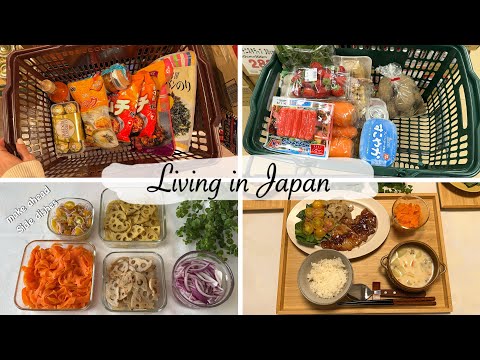 housewife daily life in japan | grocery shopping, make side dishes and make dinner