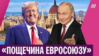 «Орбан— агент Кремля»: депутат Европарламента Лагодинский о встрече Путина и Трампа в Венгрии