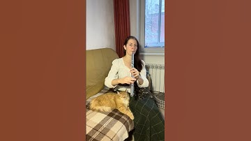 Thumbnail of The Little Beggarman (irish hornpipe) - Low whistle in D + SHEET MUSIC