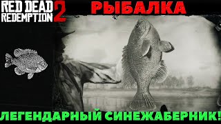 Red Dead Redemption 2 - Рыбалка. Легендарный Синежаберник.