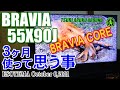 SONY BRAVIA 55X90Jと “BRAVIA CORE” を３ヶ月使って思う事