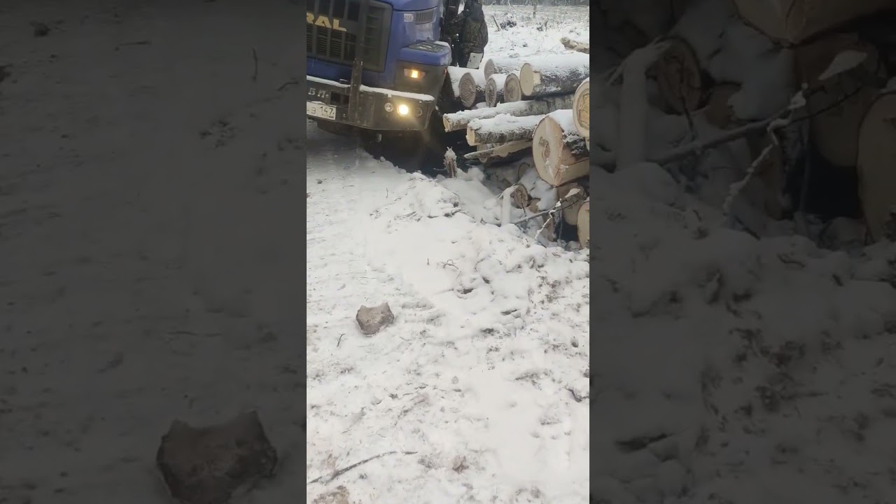 Всë возможно 