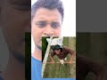 I phone দিয়ে চমৎকার ভিডিও এডিটিং #reels #camping #hack #tipsandtricks #shorts