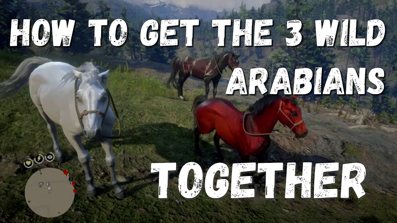 HOW TO GET THE 3 WILD ARABIAN HORSES TOGETHER Red Dead Redemption 2