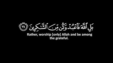 كروما شاشه سوداء قرآن كريم 🌿كروما جاهزه للمونتاج 🌿القارئ محمد حسن🌿