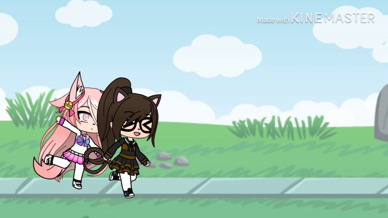 camera iphone 8 plus apk The intro of the “Anime Fairy Tale”