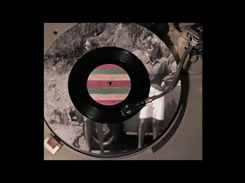 Bed Rugs - The Cunning (Official Audio)
