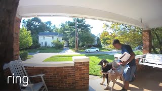 These Dogs REALLY Love Their Mail Carrier｜RingTV
