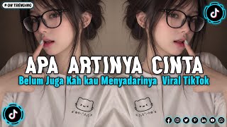 DJ BELUM JUGA KAH KAU MENYADARINYA FULL BASS | DJ APA ARTINYA CINTA MELLY GOESLAW VIRAL TIKTOK