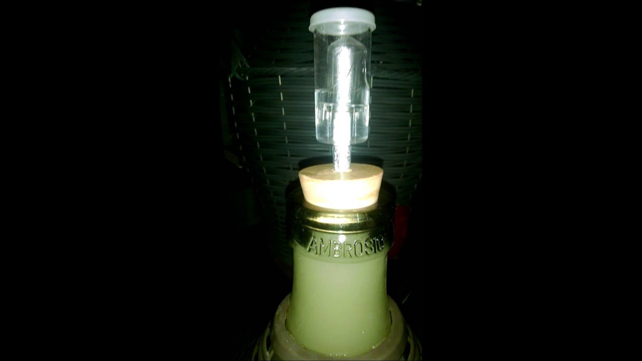 Vigorous wine fermentation YouTube