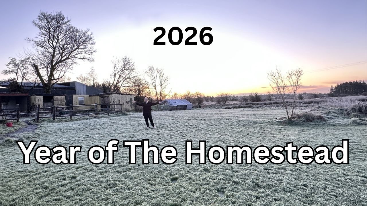This is the Year of My Homestead! - Solo Irish Homestead & Cottage Renovation Journey