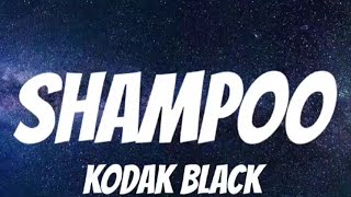 Kodak Black - Shampoo (Lyrics) New song 🎵🎵🎵🎵