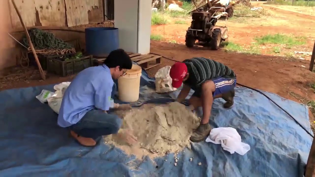 Biofertilizante Aeróbico: Princípio e Receita-Base