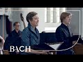 Bach - Cantata Barmherziges Herze der ewigen Liebe BWV 185 - Bernardini | Netherlands Bach Society