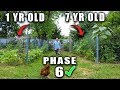 HOW TO START A FOOD FOREST GARDEN PHASE 6