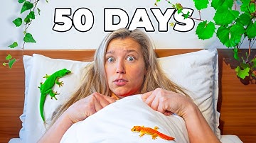 I Turned my Bedroom into a Giant Ecosystem...