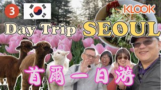 1 Day Tour From Seoul | 首尔一日游 | ALPACA WORLD | NAMI ISLAND | GARDEN OF MORNING CALM | KLOOK | KOREA