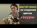 Мастер-класс по созданию цветка сакуры