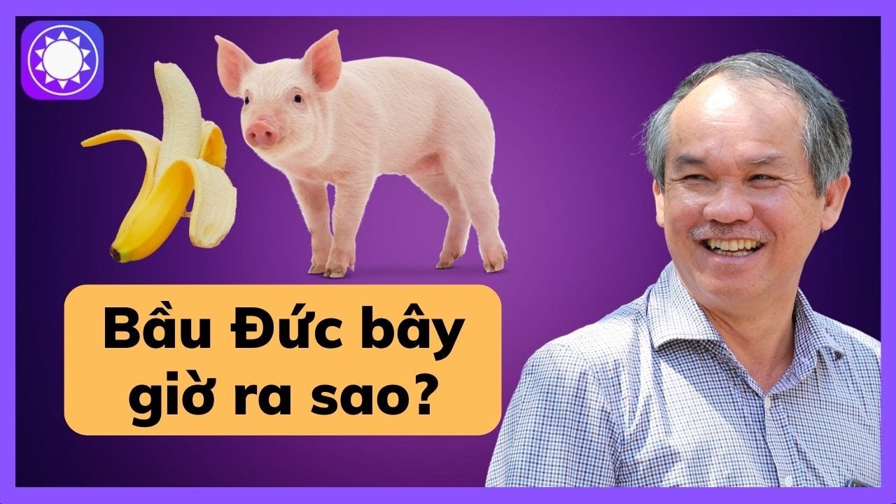 Sau chuỗi ngày nợ nần, Bầu Đức giờ ra sao?