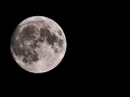 Moon rise - Impressive nikon D500 and Nikon 600mm f/4