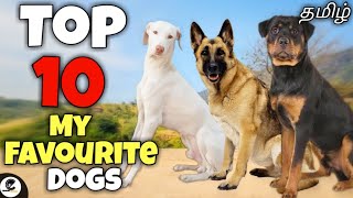 Top 10 my most favourite dogs | friendly | guarding | funny