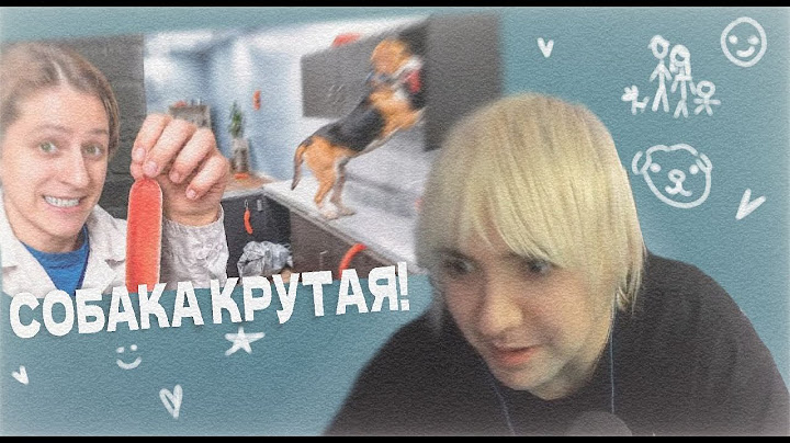 ФРИК ПАТИ СМОТРИТ: Спрятал 100 Сосисок От Собаки!