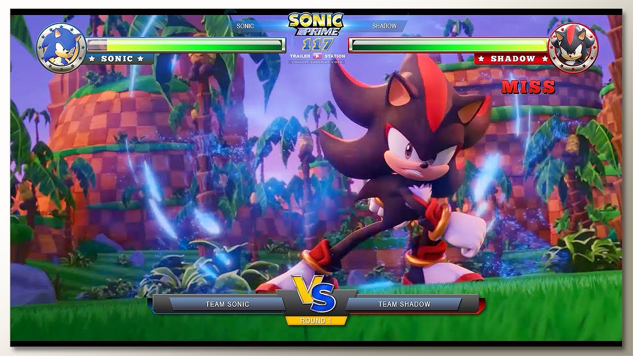 Team Sonic vs Team Shadow with Healthbars