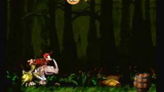 Donkey Kong Country 2 - Barrel Bayou