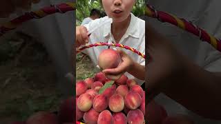 Fresh Fruit Nice Farm P003 #Shorts #Viral