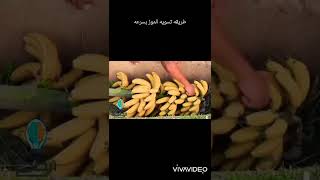 افضل الطرق لتسويه الموز بسرعه الطعم روعه