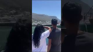 Orca in Kalk Bay Harbour