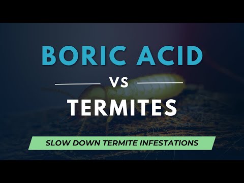 Video: Hvordan blander du borsyrepulver med vann for termitter?