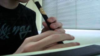 Dropkick Murphys - Cruel [Tin whistle cover]