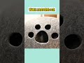 ニトリのペットベッドを気に入った猫 #shorts #cat