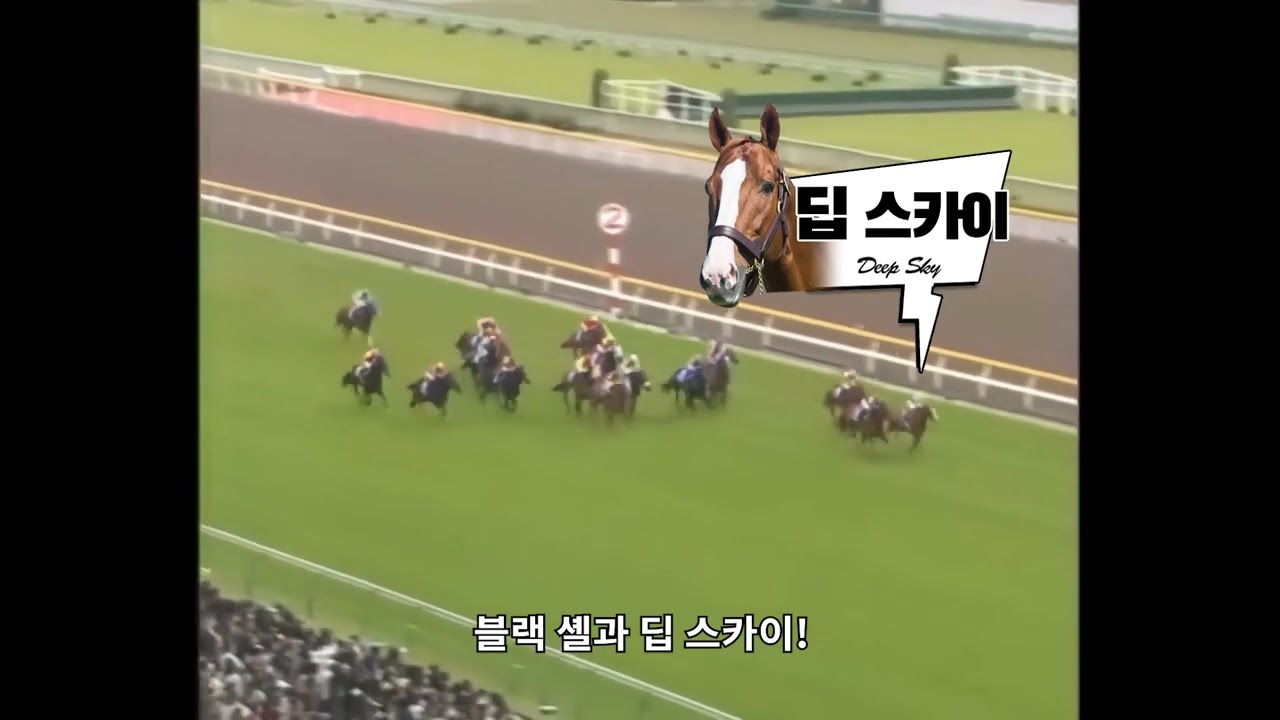 Deep Sky (Horse) - NamuWiki