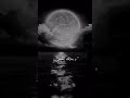 من دونك ما بعيش Ameralasali Amazing