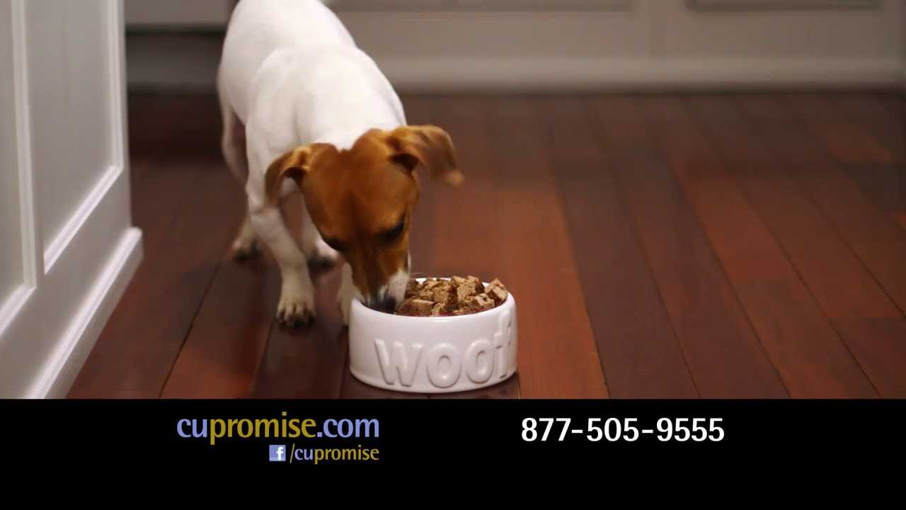 CU Promise "Puppy Goals"