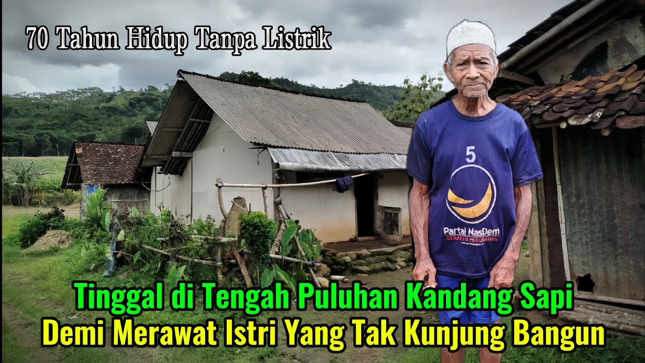 Sungguh Miris melihat kehidupan kakek yang sangat menyedihkan ini. Tetangganya kandang sapi semua.